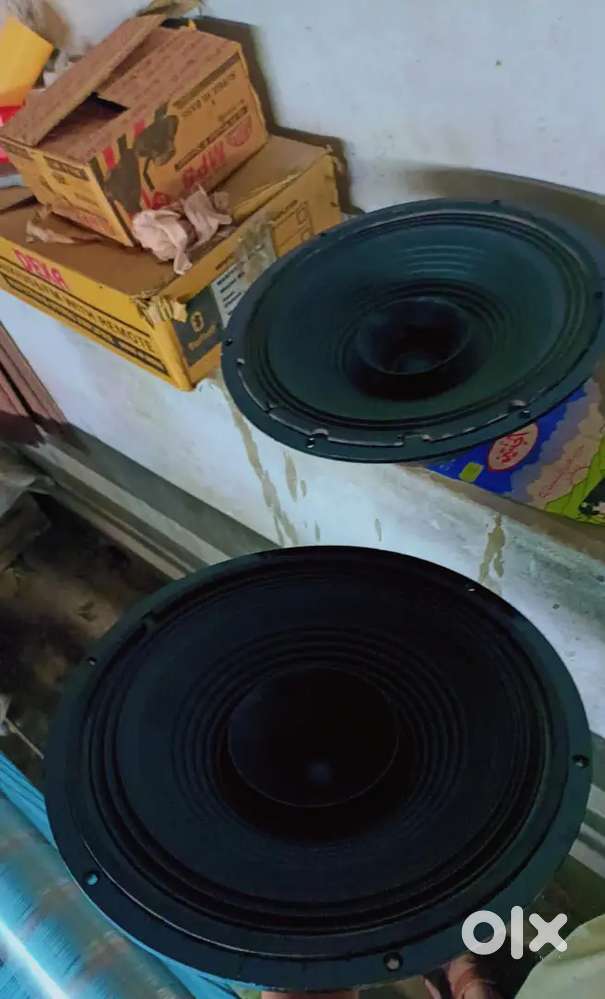 12 inch do ispekar. Almunium body me.. Isame bass treble dono dega