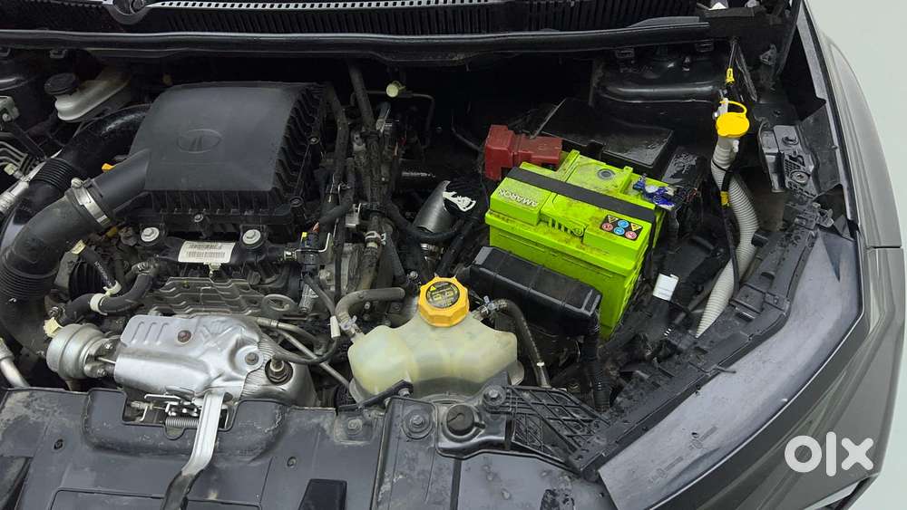 Tata Nexon Creative Plus 1.2 Revotron Petrol 6 Mt, 2024, Petrol