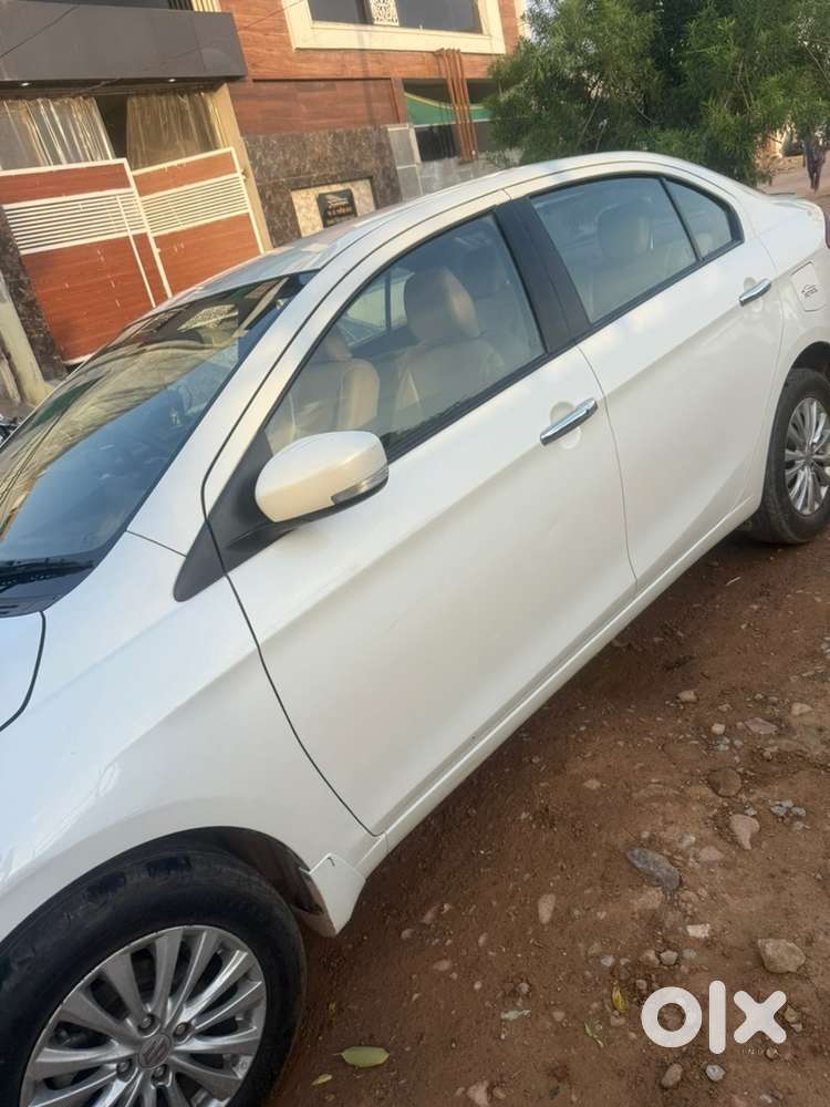 Maruti Suzuki Petrol 2023