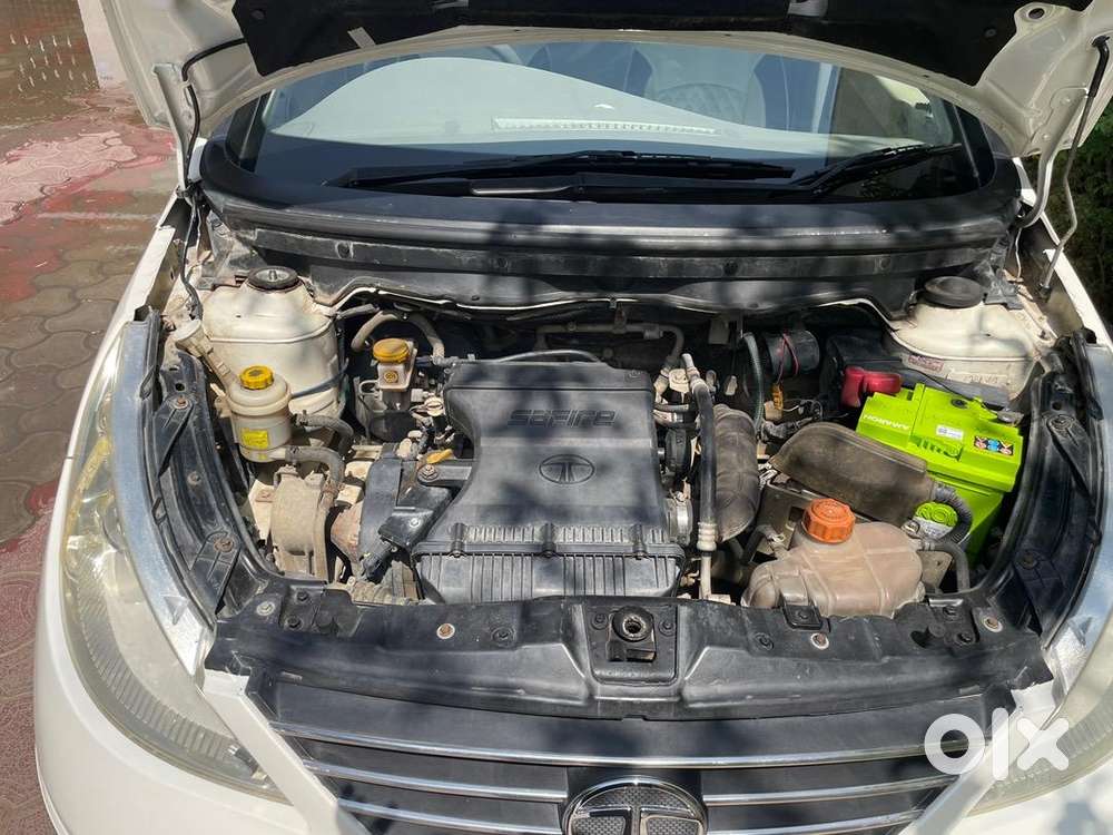 Tata Petrol Car 2010