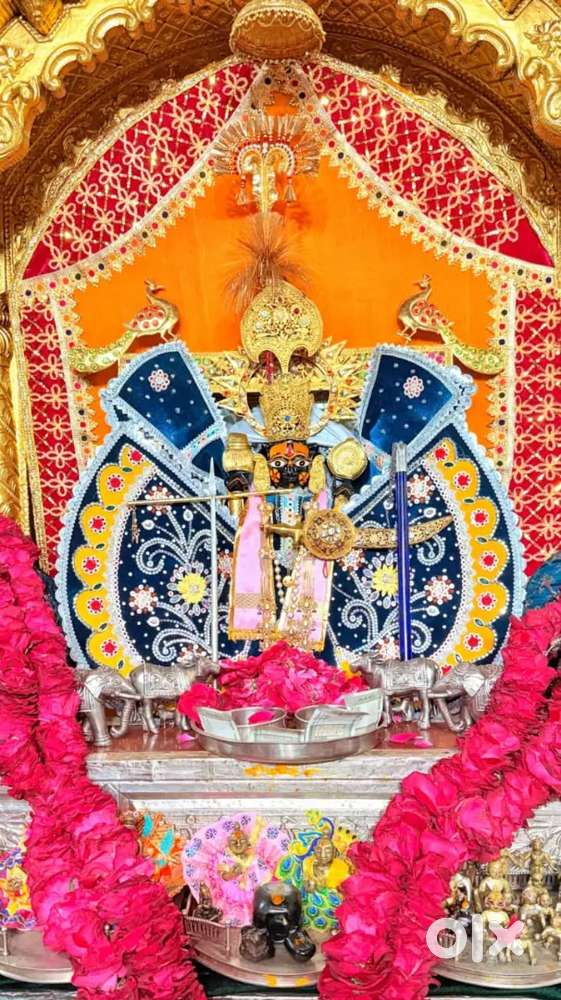 Tata Tiago 2022 Petrol 31000 Km Driven