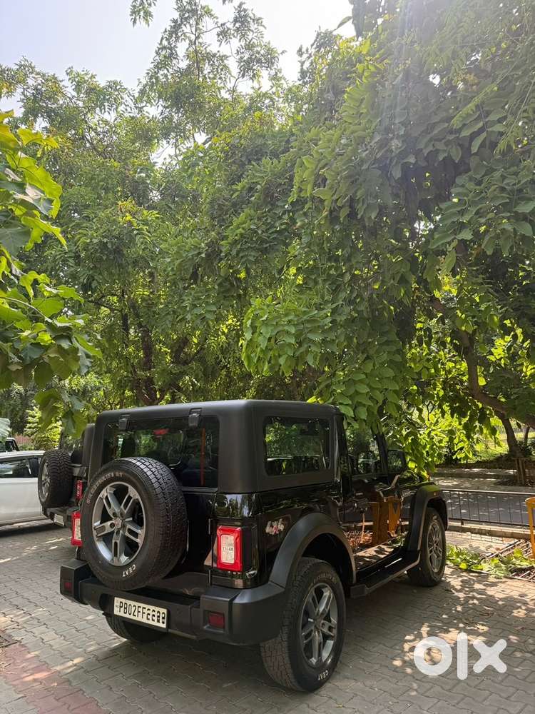 Mahindra Thar Petrol 2025 Year Vip Number