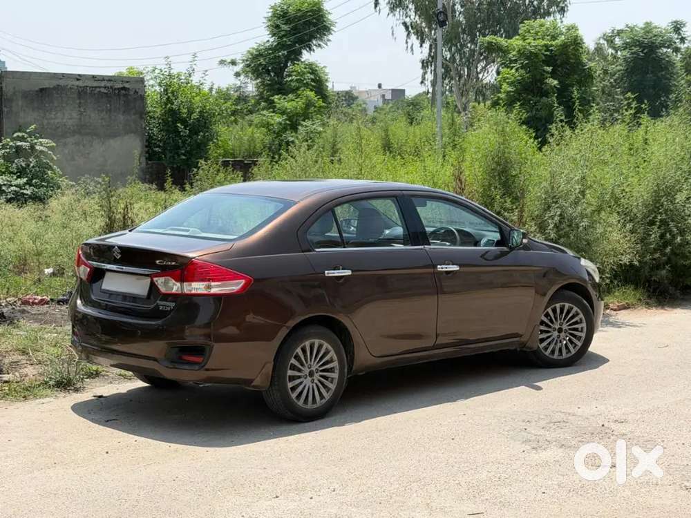 Maruti Suzuki Ciaz 2016 Diesel Car