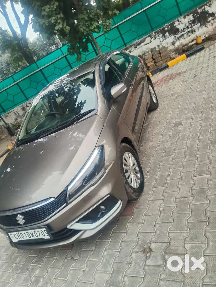 2nd Owner Maruti Ciaz 2019 Diesel