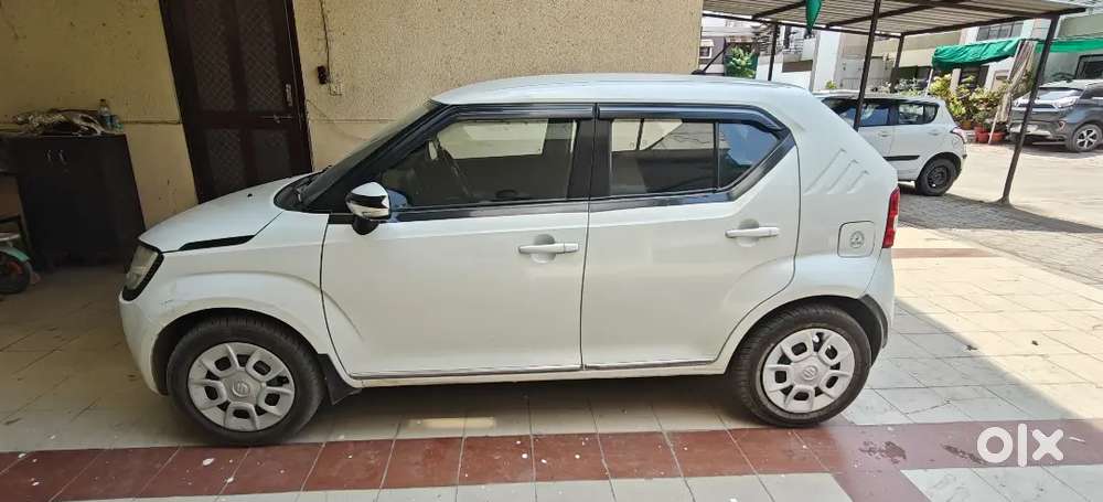 Maruti Suzuki Ignis Delta 2019 Petrol – Well Maintained