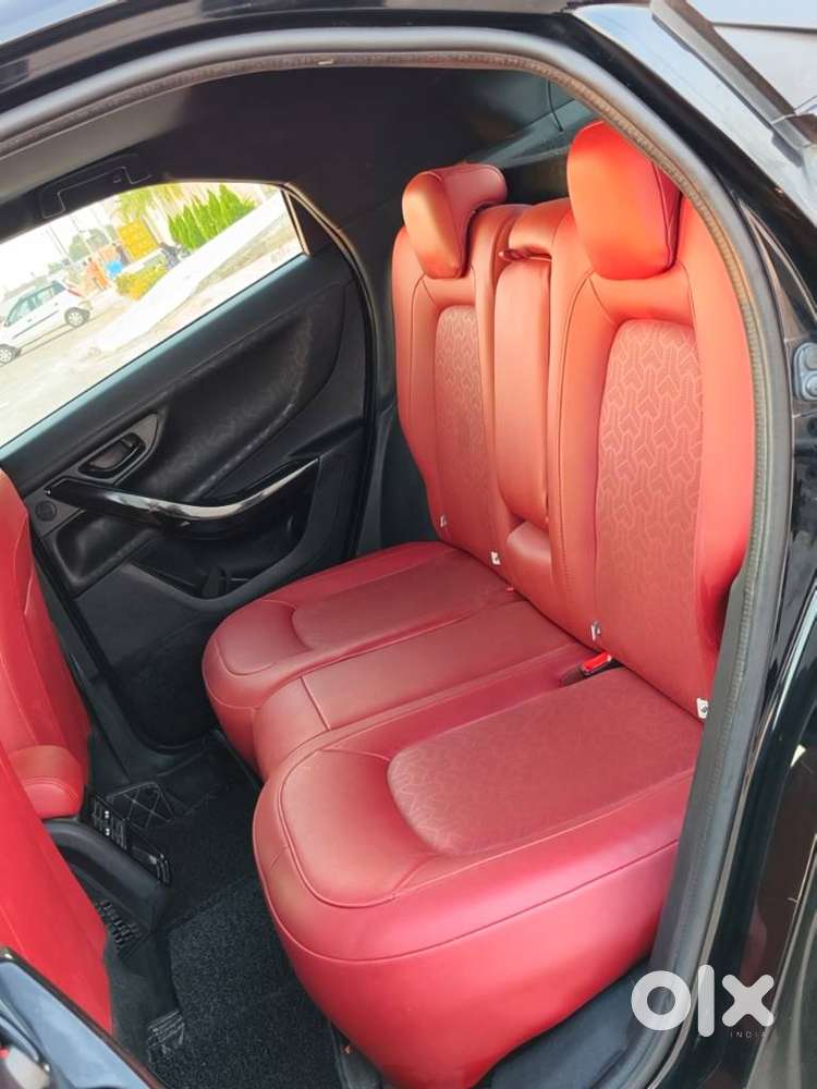 Tata Nexon Xz Plus Luxs Kaziranga, 2024, Petrol