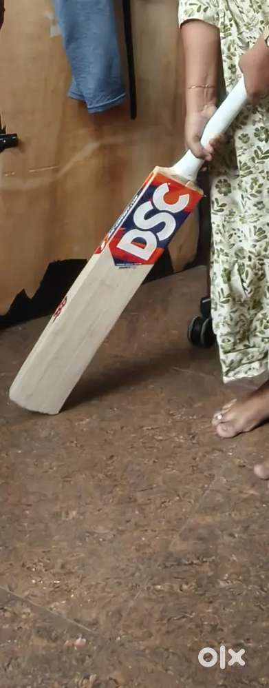 DSC Krunch 9.0 English Willow bat