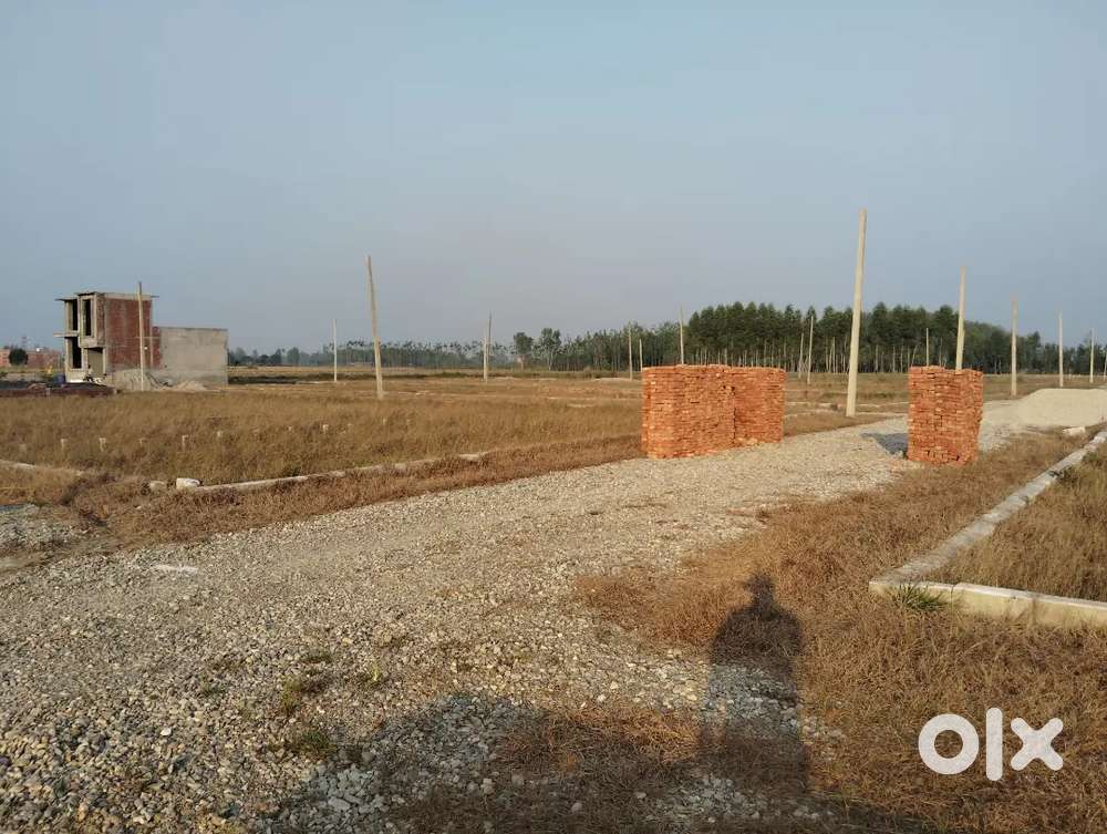 Plot's Available