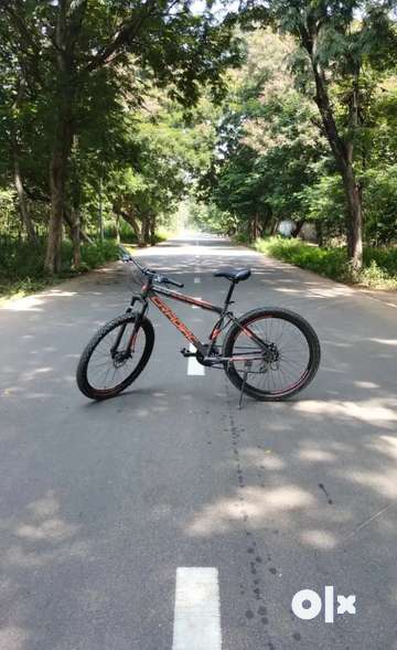 Olx best sale mtb 29