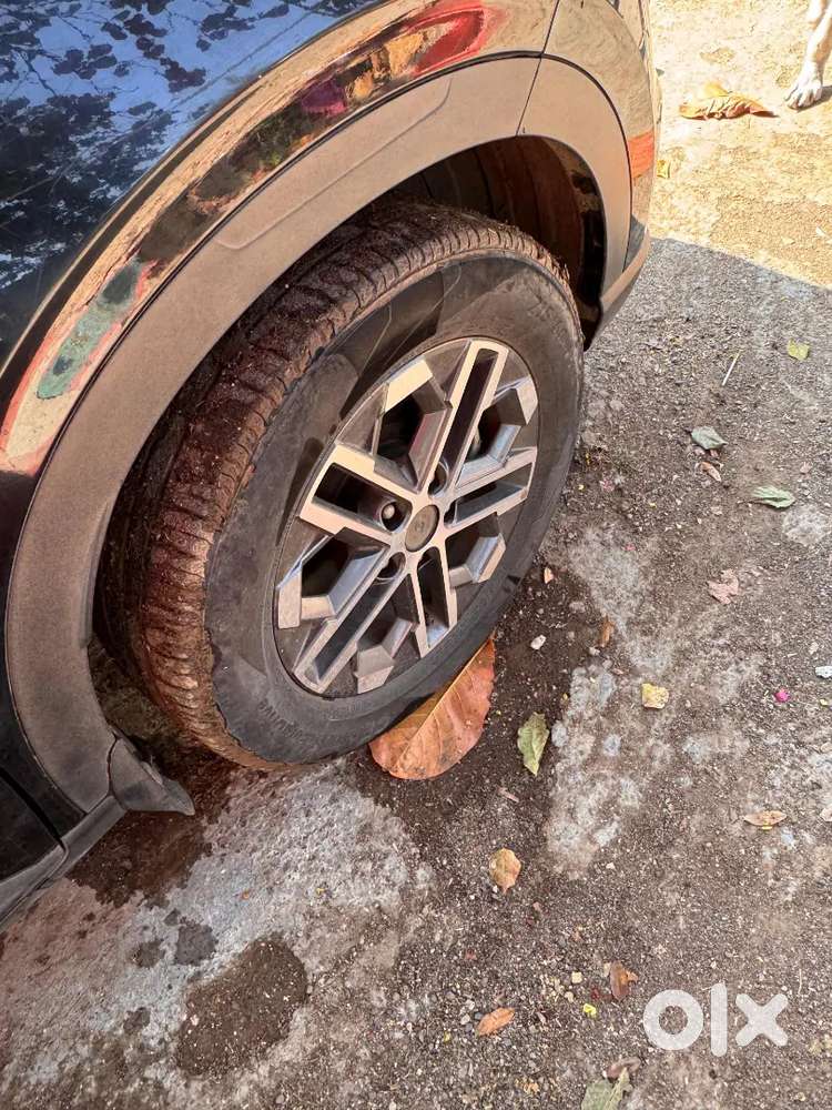 Hyundai Venue 2025 Diesel 50000 Km Driven