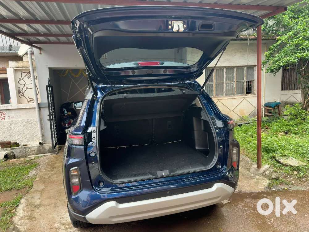 Maruti Suzuki Grand Vitara E20 Fuel