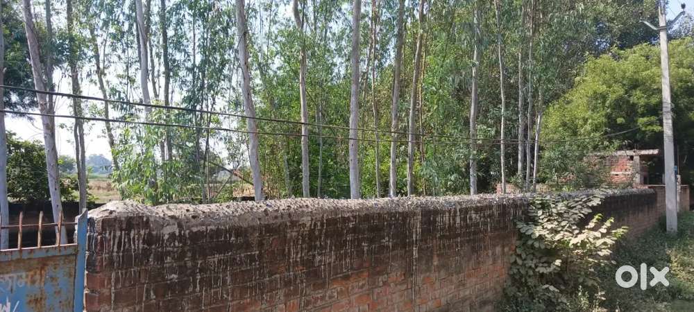2 Biswa Plot for sale