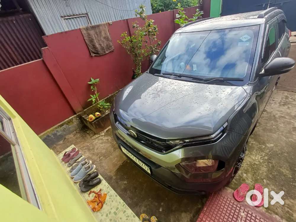 Tata Punch Icng 2024