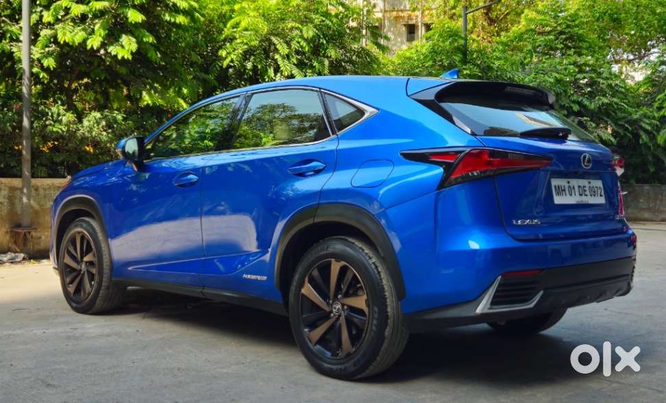 Lexus Nx Lexus-nx-300h-luxury, 2018, Petrol