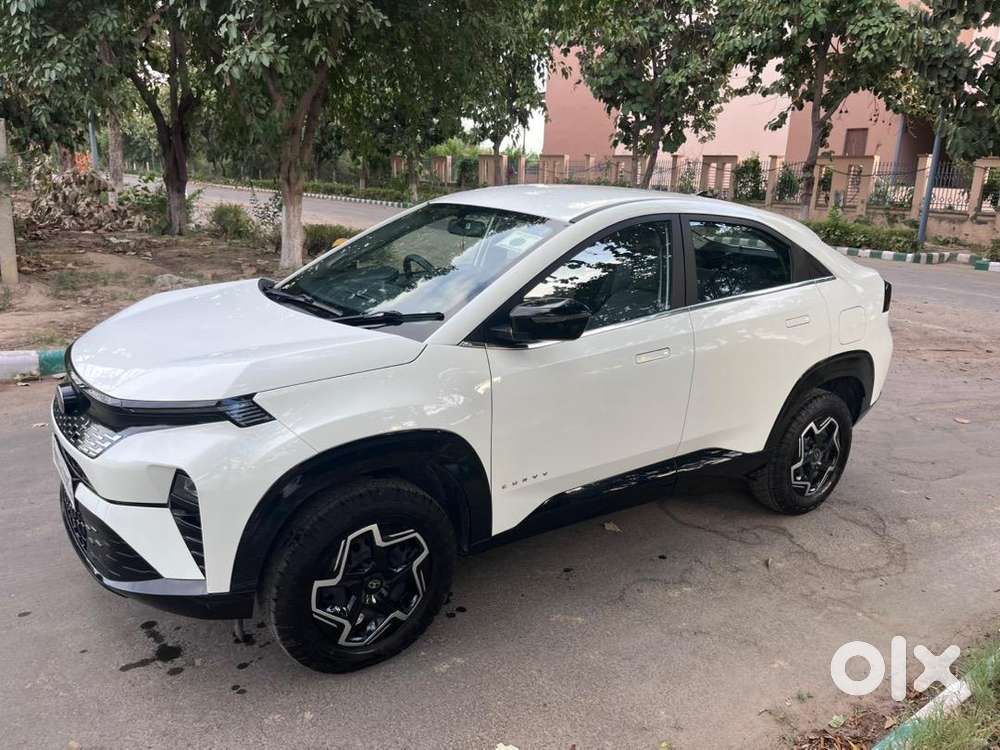 2024 Tata Petrol Manual 12900 Km