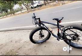 Scholl rhino hot sale fat bike