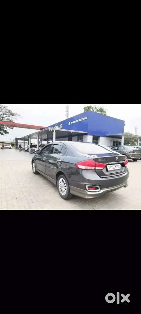 Maruti Suzuki Ciaz 2023 Petrol 31000 Km Driven