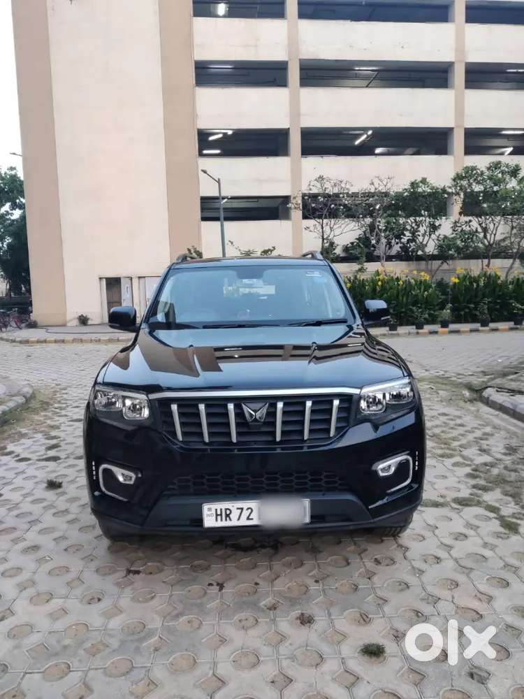 Scorpio N Z4 Petrol At, 9 Months Old