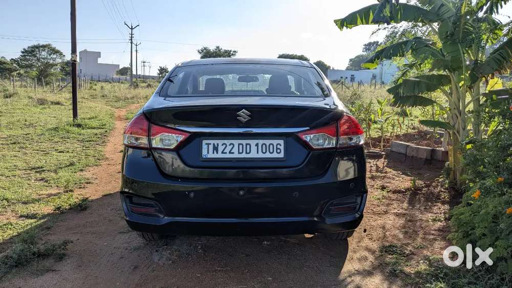 Maruti Suzuki Ciaz 2016 Petrol Automatic