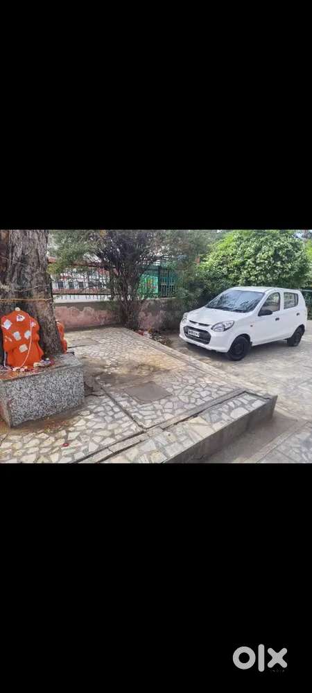 न्यू ब्रांड कंडीशन