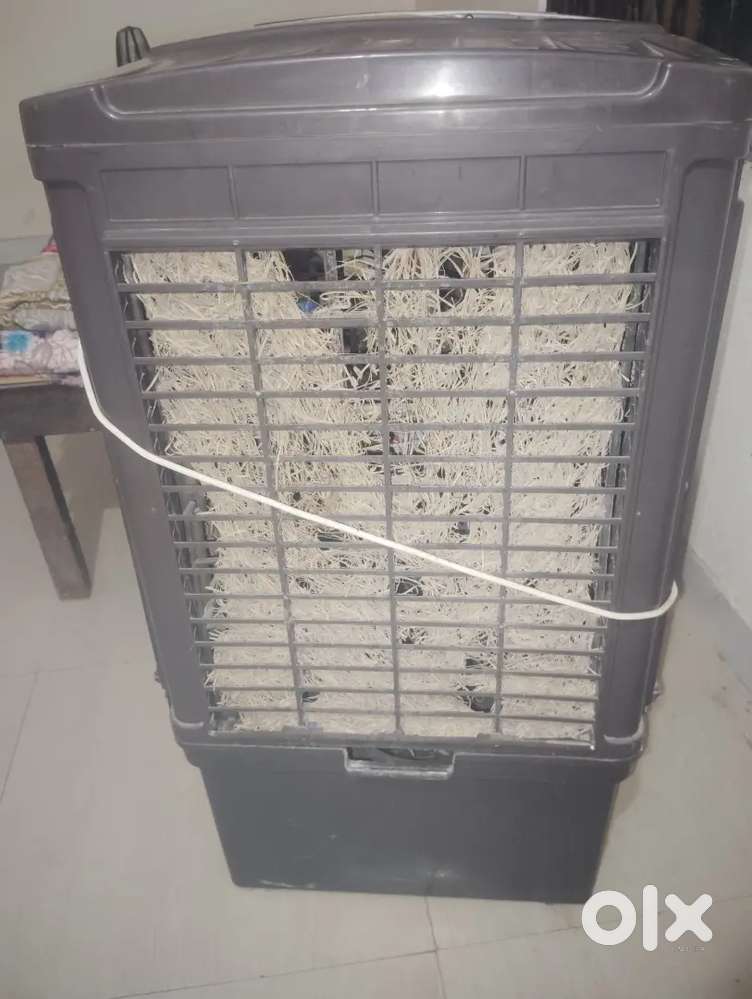 Cooler 1yr old