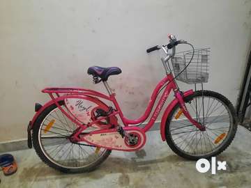 Ladybird cycle under discount 5000