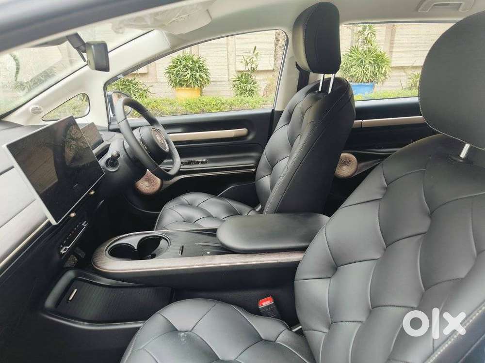 Mg Windsor Ev Exclusive, 2024, Electric