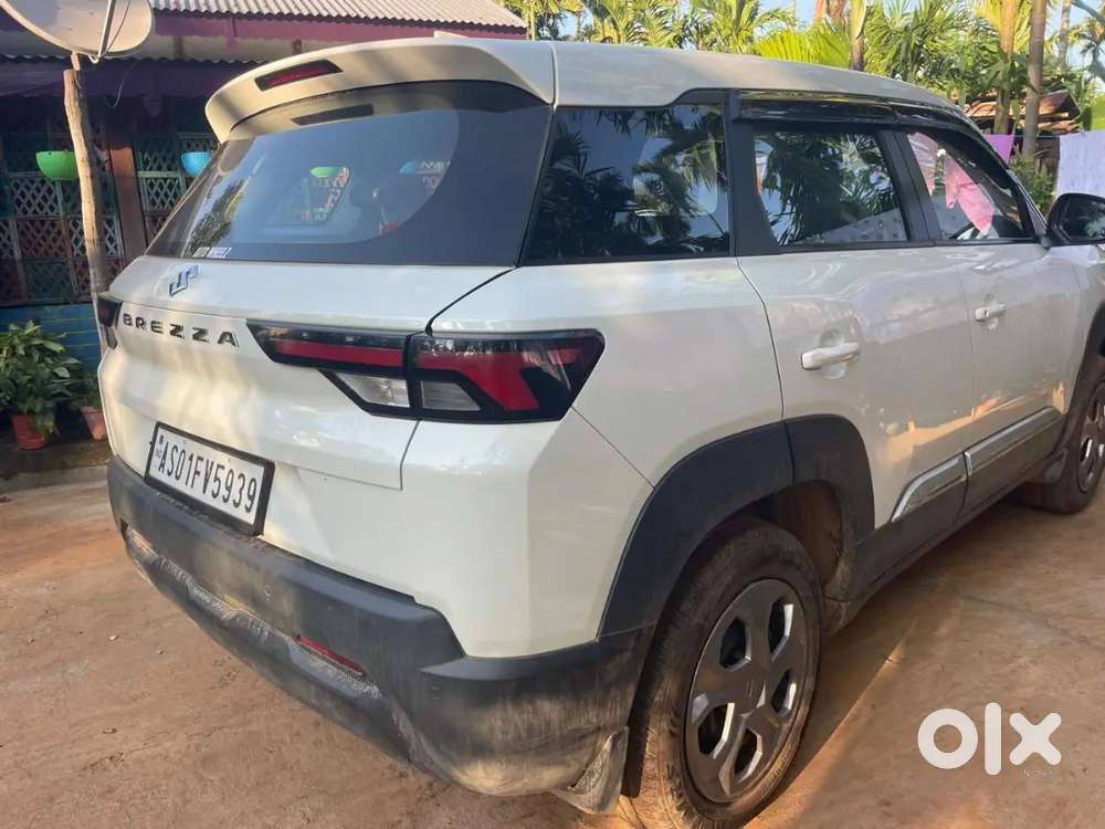 Maruti Suzuki Brezza 2024 Petrol 17100 Km Driven