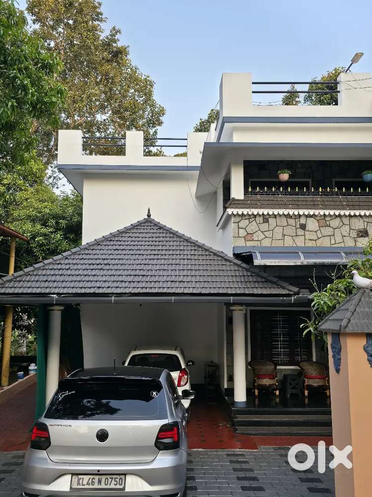 Meticulously Maintained Polo 1.5 Tdi