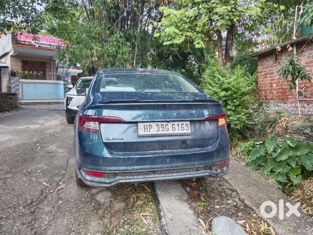 Skoda Slavia 2025 Petrol 13500 Km Driven