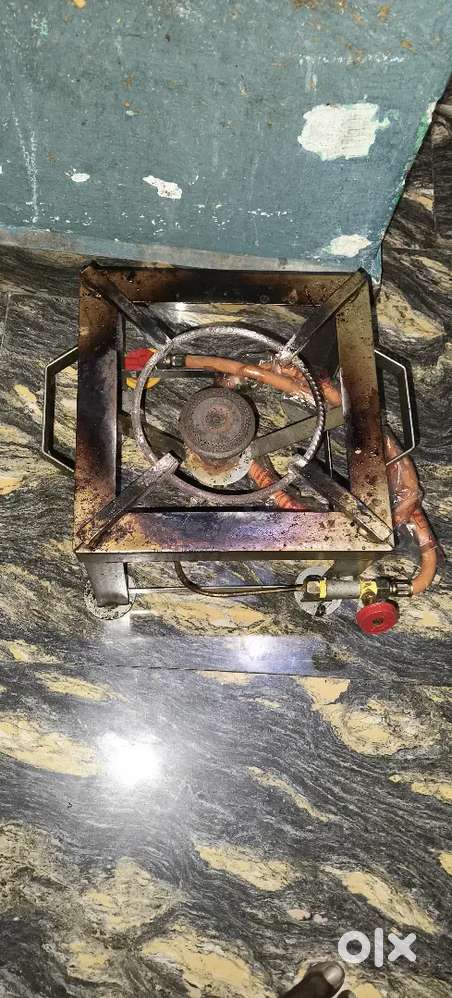 10 days old single stove