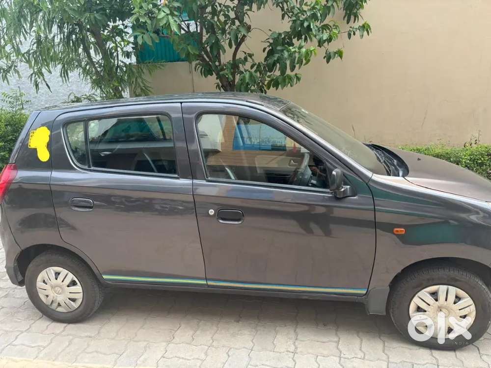 Alto 800 Cng And Petrol