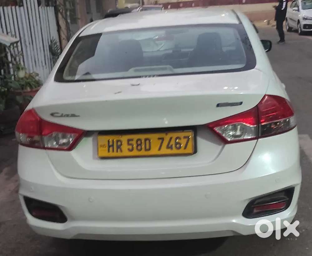 Maruti Suzuki Ciaz 2024 Cng & Hybrids Well Maintained