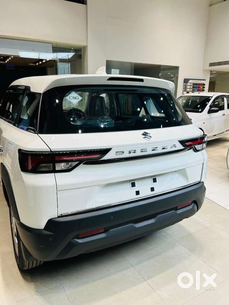 Maruti Suzuki 2025 Hybrid