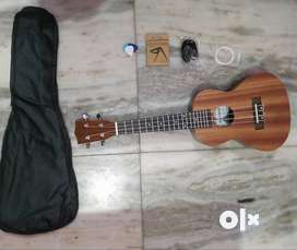 Olx deals ukulele concert