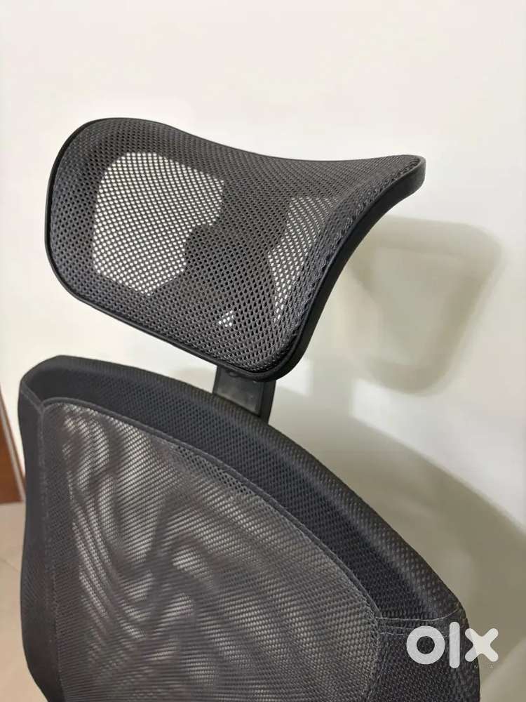 Venturi Study Chair-3 Axis Adjustable Colour ash grey