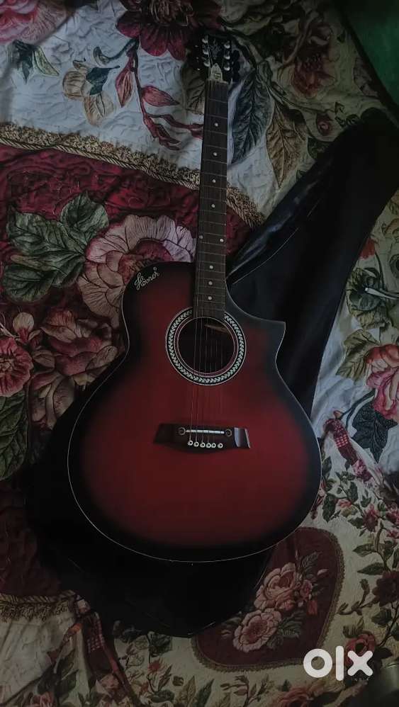 Hobner guitar