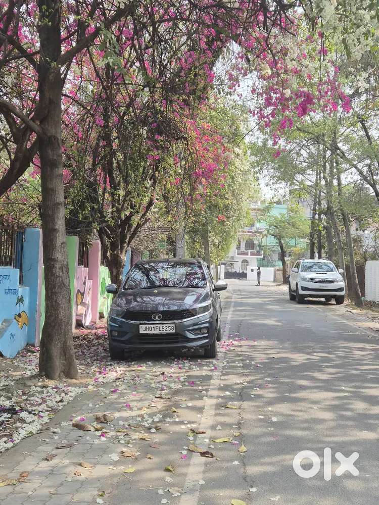Tata Tiago Revotron 2024 First Owner