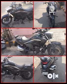 Suzuki intruder sales 150 second hand