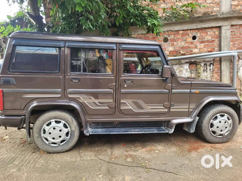 Rugged Looking Bolero Premium Color