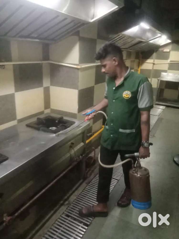 Pest control services