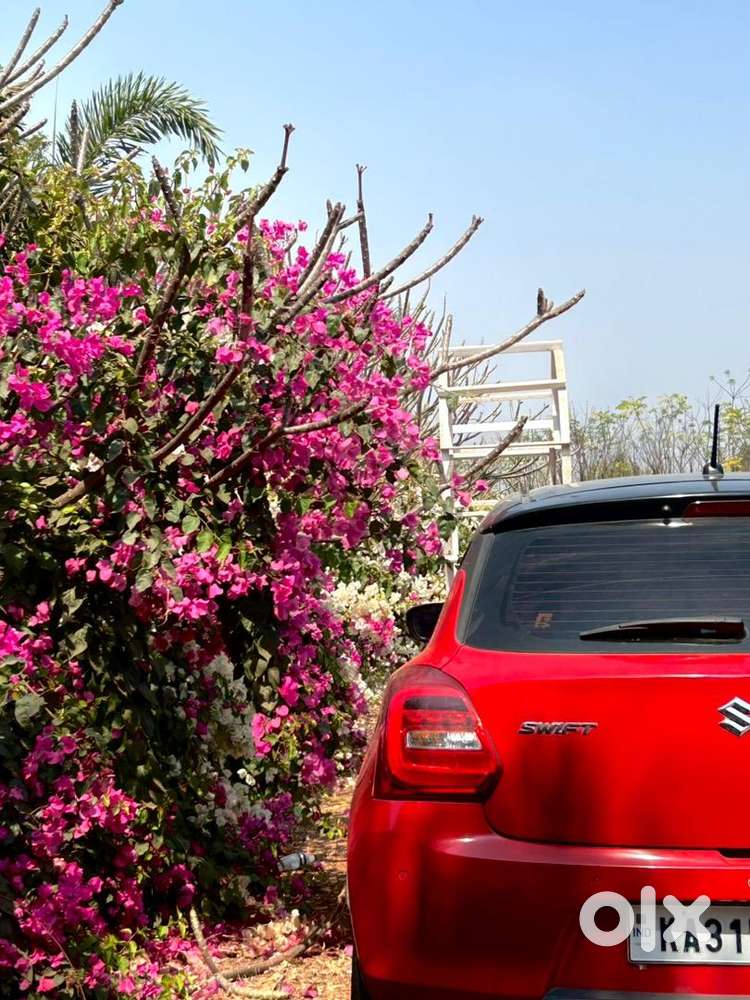 Maruti Suzuki Swift 2018 Petrol Well Maintained