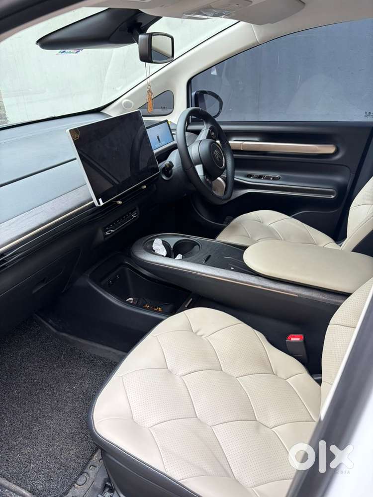 Mg Windsor Ev 2025 Electric Well Maintained