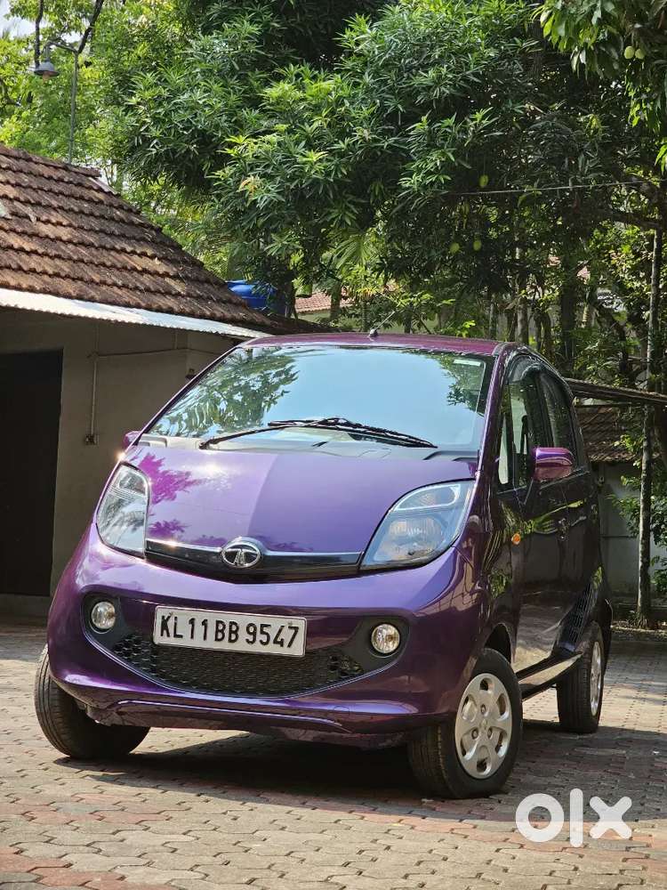 Nano Petrol 2016 Model