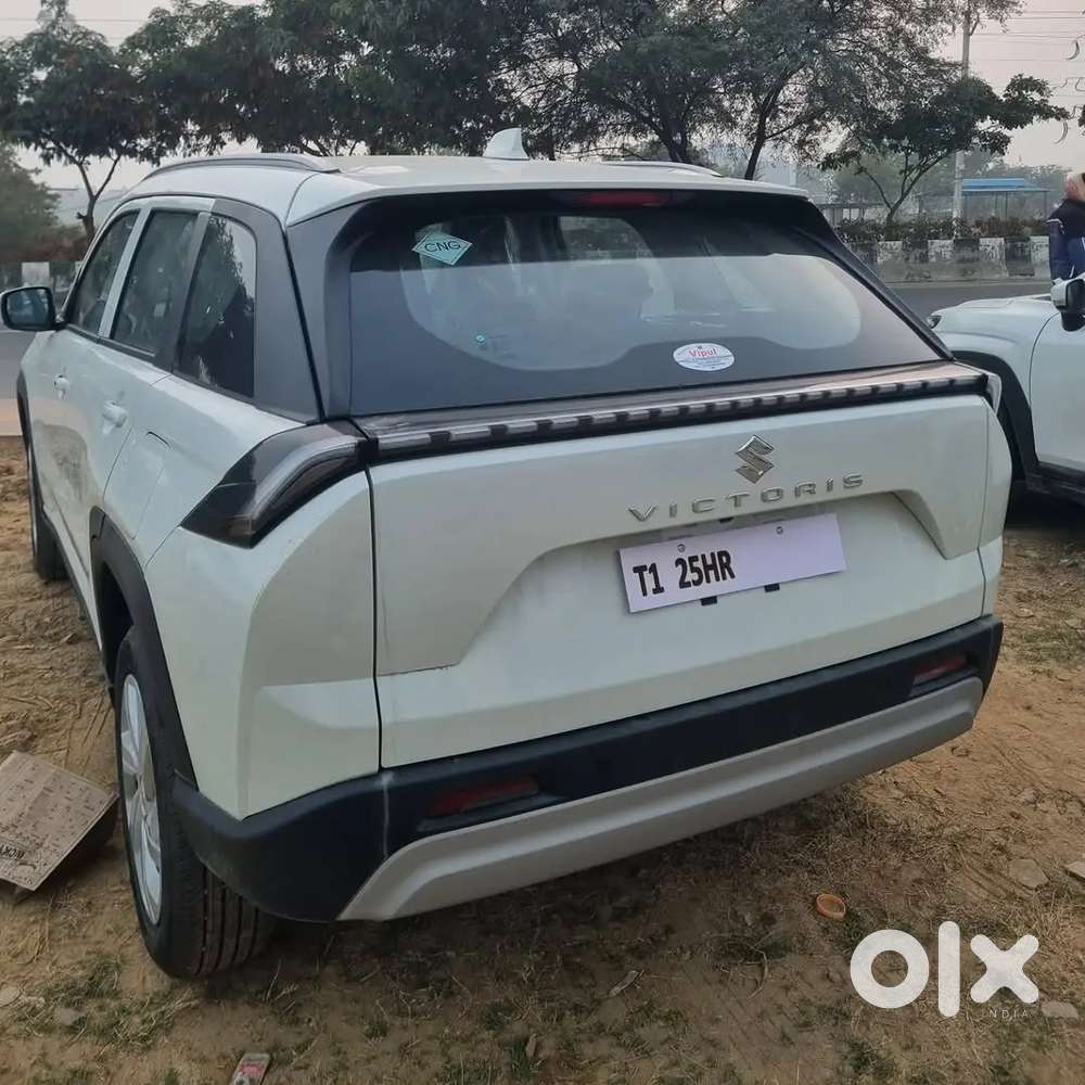 All Cars Are Available For Lease In 5 Years In Amount Of 50%