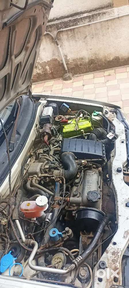 Alto Lxi Cng