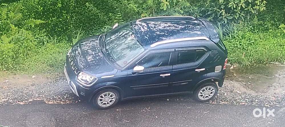 Maruti Suzuki Ignis 2024