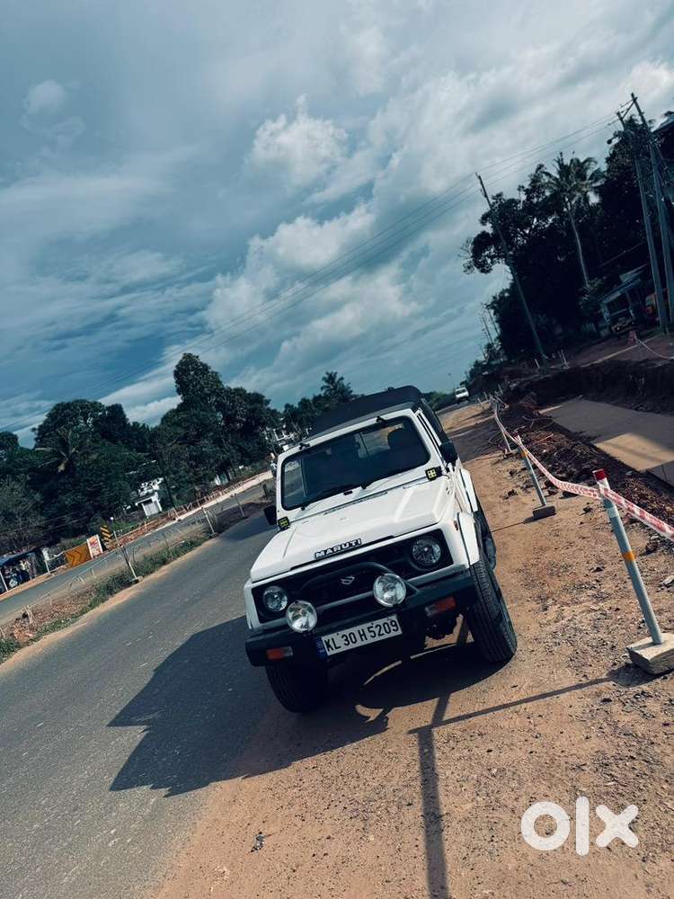 Maruti Suzuki Manual 2010