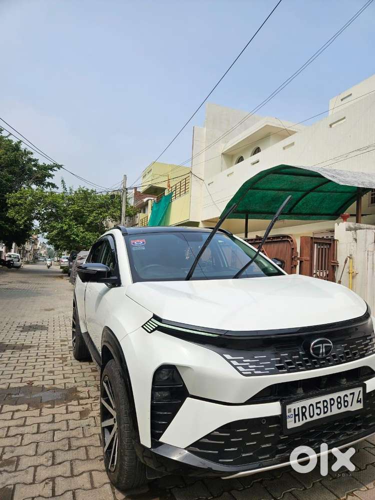 Tata Curvv 2024 Petrol Well Maintained