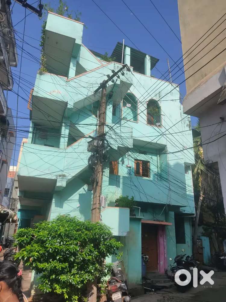 Individual house